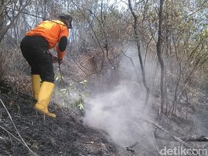 Titik Api di Gunung Sindoro Mati, Pemadaman Fokus di Sumbing Titik Api di Gunung Sindoro Mati, Pemadaman Fokus di Sumbing