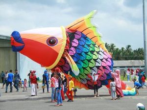 Ikan Raksasa di Natuna