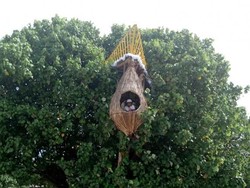 Ini Pantai Cantik dengan Spot Foto Instagramable di Samosir