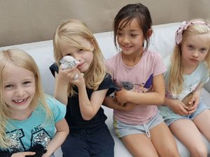 5 Ras Kelinci yang Cocok Dipelihara Anak-anak 5 Ras Kelinci yang Cocok Dipelihara Anak-anak