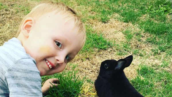 Momen Menggemaskan Saat si Kecil Main Bareng Kelinci Kesayangan