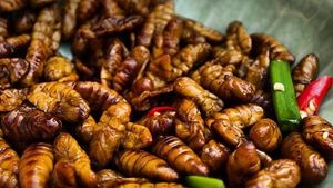 10 Makanan Ini Dianggap Menjijikkan Tapi Digemari Banyak Orang