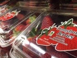 Laporan Temuan Jarum Jahit dalam Buah Stroberi Terus Meluas di Australia