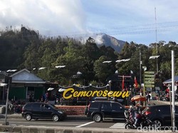 Macan Tutul Lawu Serang Ternak Warga, BKSDA: Habitatnya Terbakar