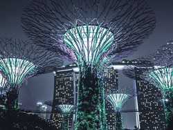 Menyeimbangkan Optimisme dan Realita