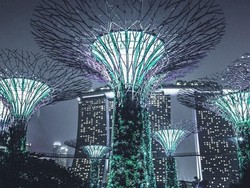 Menyeimbangkan Optimisme dan Realita