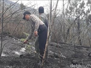 Kebakaran di Gunung Wilis Merembet ke Madiun, Ini Langkah KPH Kebakaran di Gunung Wilis Merembet ke Madiun, Ini Langkah KPH