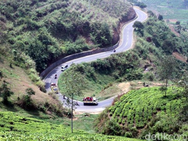 Foto: Jalan Buntu di Pangalengan yang Instagramable