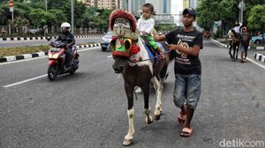 Delman Kembali Hadir Pasca Asian Games