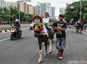 Delman Kembali Hadir Pasca Asian Games