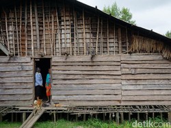 Bukan Kaki Seribu, Ini Rumah Kaki Seribu
