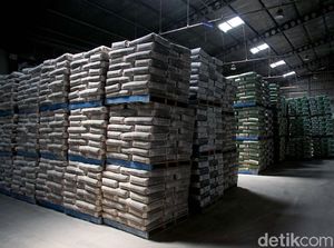 Kapal Tol Laut Ditambah, Harga Semen di Papua Bakal Lebih Murah? Kapal Tol Laut Ditambah, Harga Semen di Papua Bakal Lebih Murah?