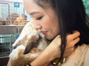 Kelinci Constance Wu Berulah, Apartemen Rp 93 Miliar Penuh Kotoran Kelinci Constance Wu Berulah, Apartemen Rp 93 Miliar Penuh Kotoran