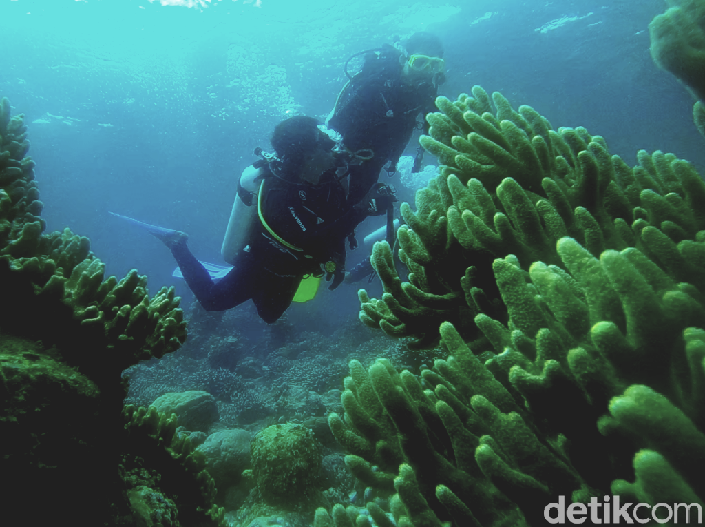 Selamat! Wakatobi Dapat Penghargaan Desa Wisata Tourism Award Selamat! Wakatobi Dapat Penghargaan Desa Wisata Tourism Award