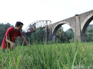 Angkut Hasil Bumi, Kwik Pernah Jadi Andalan di Rute Bandung-Ciwidey Angkut Hasil Bumi, Kwik Pernah Jadi Andalan di Rute Bandung-Ciwidey