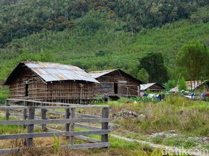 Menginap di Rumah Kaki Seribu di Pedalaman Papua Barat