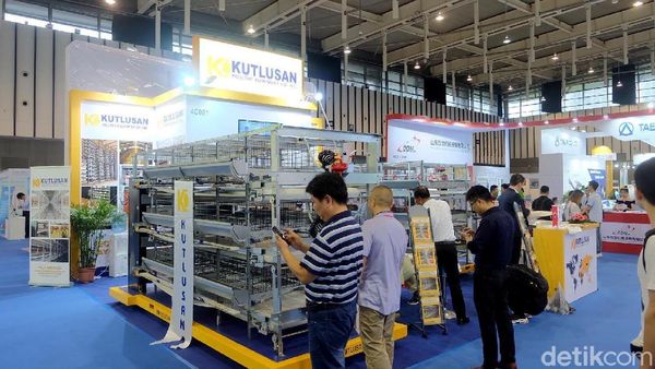 Intip Teknologi Kandang Ayam Petelur yang Makin Canggih