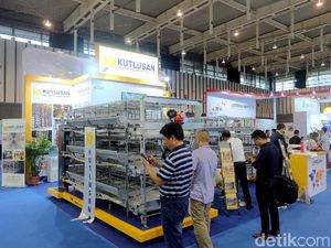 Intip Teknologi Kandang Ayam Petelur yang Makin Canggih