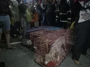 Kasus Penyekapan 3 Anak, Polisi Temukan Besi dan Puntung Rokok