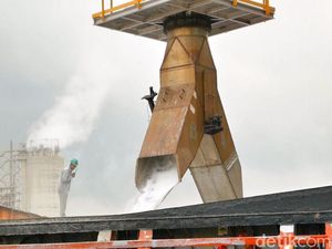 Strategi BUMN Antisipasi Kelangkaan Pupuk