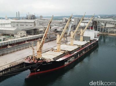 Ini Loh Kapal Raksasa Pengangkut Pupuk RI