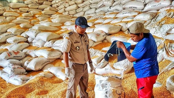 Foto: Dok. Kementan Foto: Dok. Kementan