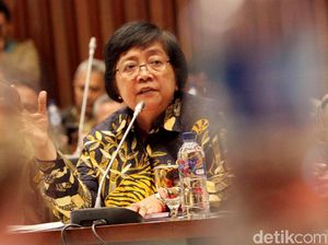 66.600 Sertifikat Lahan Hutan Siap Dibagikan ke Masyarakat 66.600 Sertifikat Lahan Hutan Siap Dibagikan ke Masyarakat