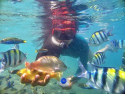 Berenang Bareng Ikan Warna-warni di Gili Sudak, Mau?