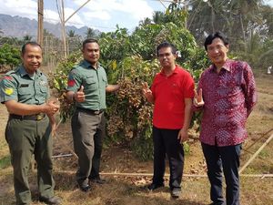 Impornya Turun, Tanda Makin Banyak Orang RI Makan Buah Lokal