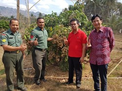 Impornya Turun, Tanda Makin Banyak Orang RI Makan Buah Lokal