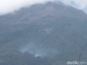 Api yang Membakar Lereng Gunung Slamet Sudah Padam 90%