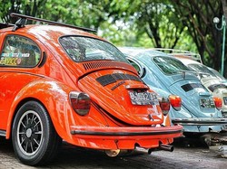 Bangkrut Dihantam Pandemi, Wanita Brasil Ini Sukses Jualan Tanaman Pakai VW Kodok