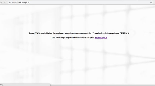 Lowongan Cpns Sscn Bkn Go Id Bisa Diakses Pukul 13 00 Wib