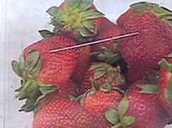 Seratus Polisi Australia Dikerahkan Cari Pelaku Sabotase Stroberi