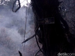 50 Orang dari Tim Gabungan Menuju Titik Kebakaran Gunung Slamet