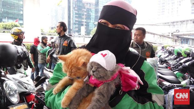 Dua Kucing, Saksi Perjuangan Empu yang Bekerja sebagai Ojol