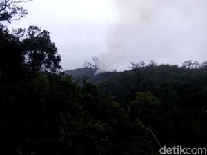 Ini Dia Lokasi Titik Api Kebakaran di Hutan Gunung Slamet