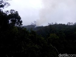 Ini Dia Lokasi Titik Api Kebakaran di Hutan Gunung Slamet