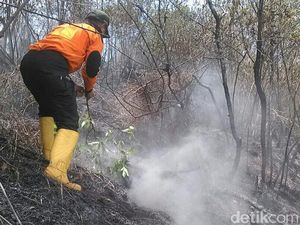 Kebakaran Sindoro-Sumbing Padam, Warga Diimbau Waspadai Satwa Liar Kebakaran Sindoro-Sumbing Padam, Warga Diimbau Waspadai Satwa Liar