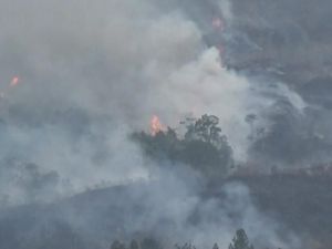 Lahan Seluas 87 Hektare di Gunung Ciremai Terbakar Lahan Seluas 87 Hektare di Gunung Ciremai Terbakar