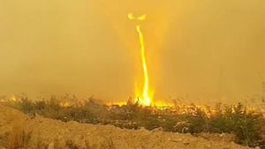 Ngeri! Ada Tornado Api di Kebakaran Lahan Kanada
