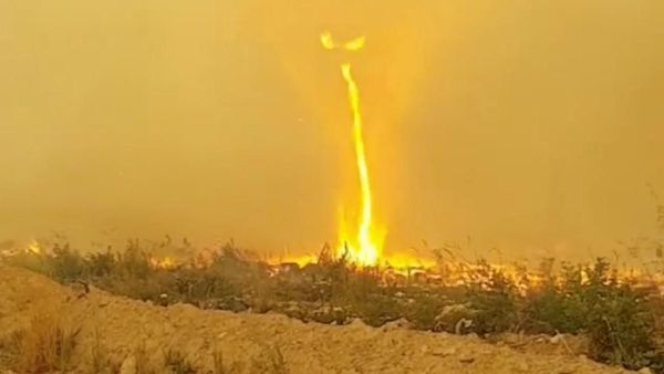 Ngeri! Ada Tornado Api di Kebakaran Lahan Kanada