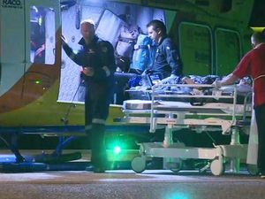 Turis Perempuan Alami Cedera Serius Digigit Hiu di Queensland