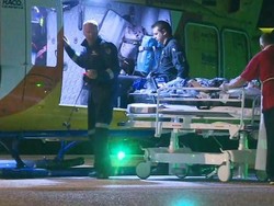 Turis Perempuan Alami Cedera Serius Digigit Hiu di Queensland