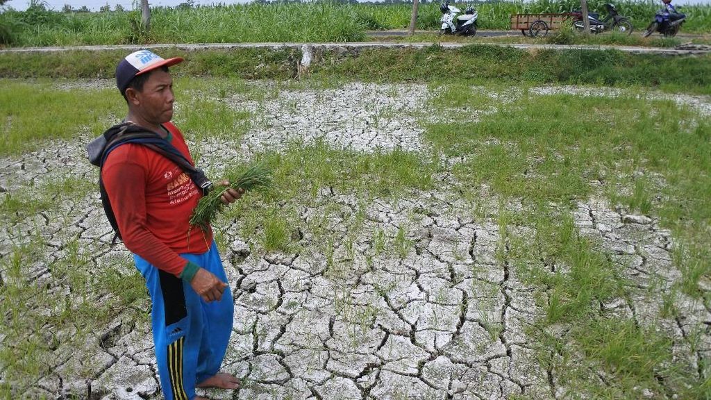Kemarau Belum Berakhir, Sejumlah Daerah di Indonesia Krisis Air