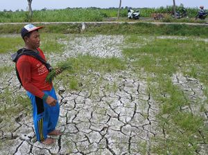 Kemarau Belum Berakhir, Sejumlah Daerah di Indonesia Krisis Air