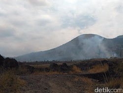 Cuca Panas Sebabkan Kebakaran Lahan 3 Hutan dan 5 Gunung di Garut