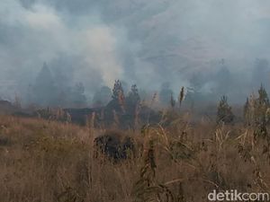 Hutan di Gunung Guntur Garut Terbakar