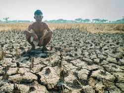 Kekeringan Parah di Australia Menyebar ke Indonesia