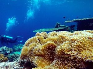 Asyiknya Jelajah Wangi-wangi di Wakatobi